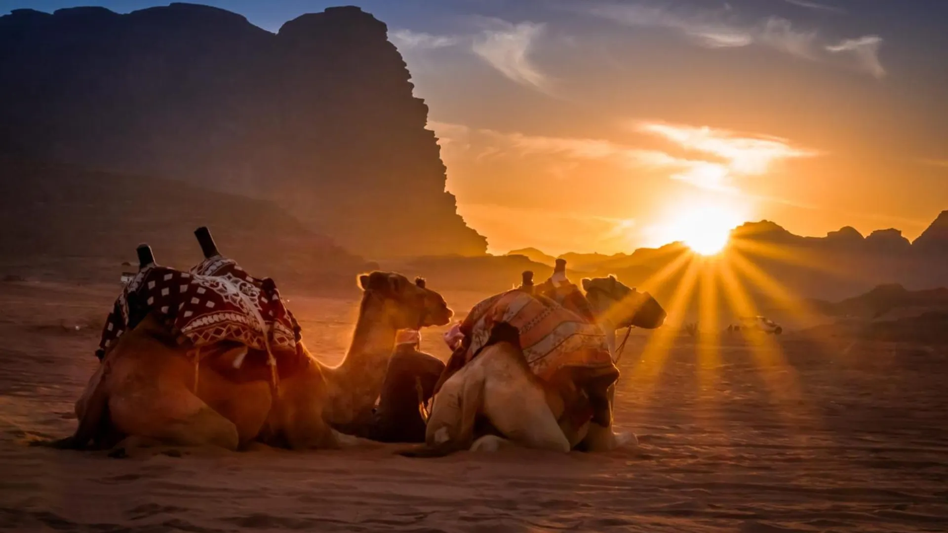 Capsule hotel Wadi Rum Vaggie Camp Aqaba