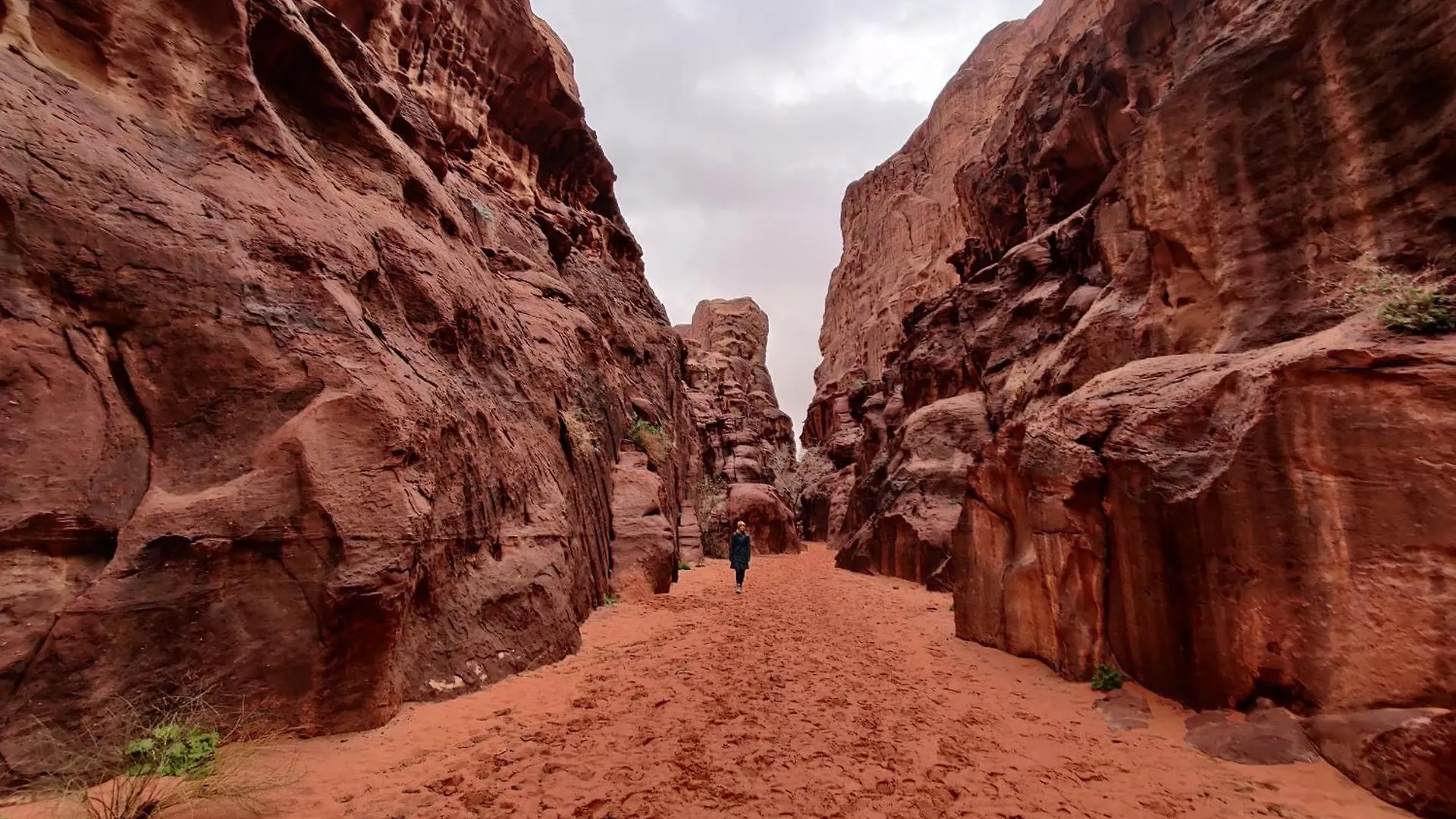 Capsule hotel Wadi Rum Vaggie Camp Aqaba Jordan